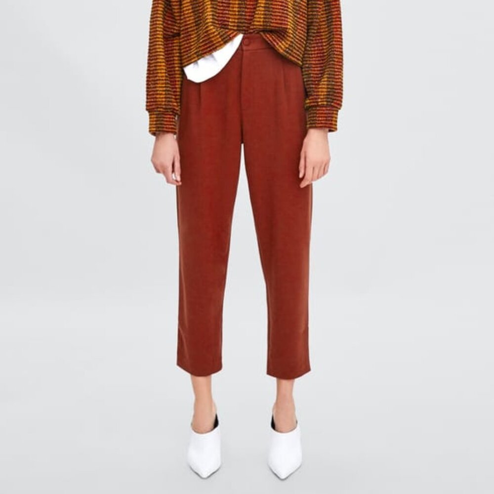 NWT Zara straight cut pleated pants